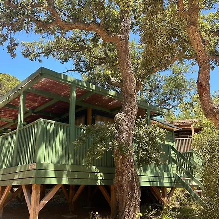 Cala Pola אתר קמפינג טוסה דה מאר