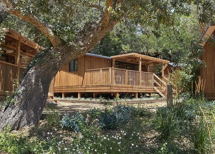 Cala Pola Tossa de Mar